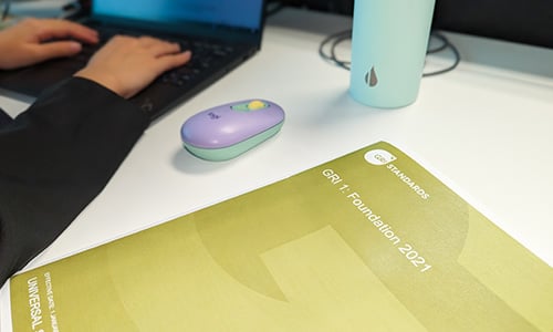 A primer on the Global Reporting Initiative (GRI)