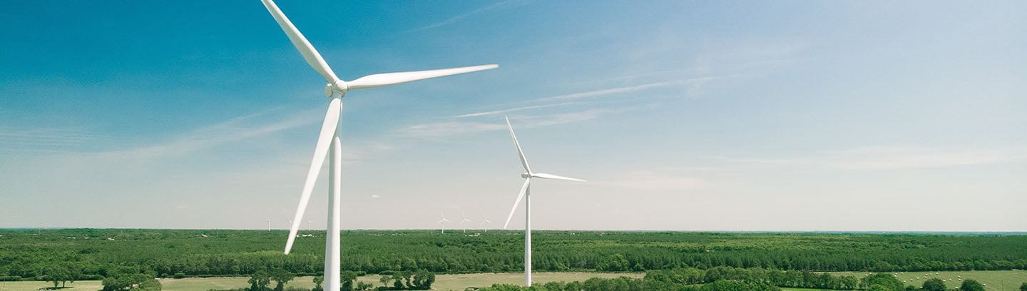 Mind the gap: How IFRS S1 and S2 affect listed companies