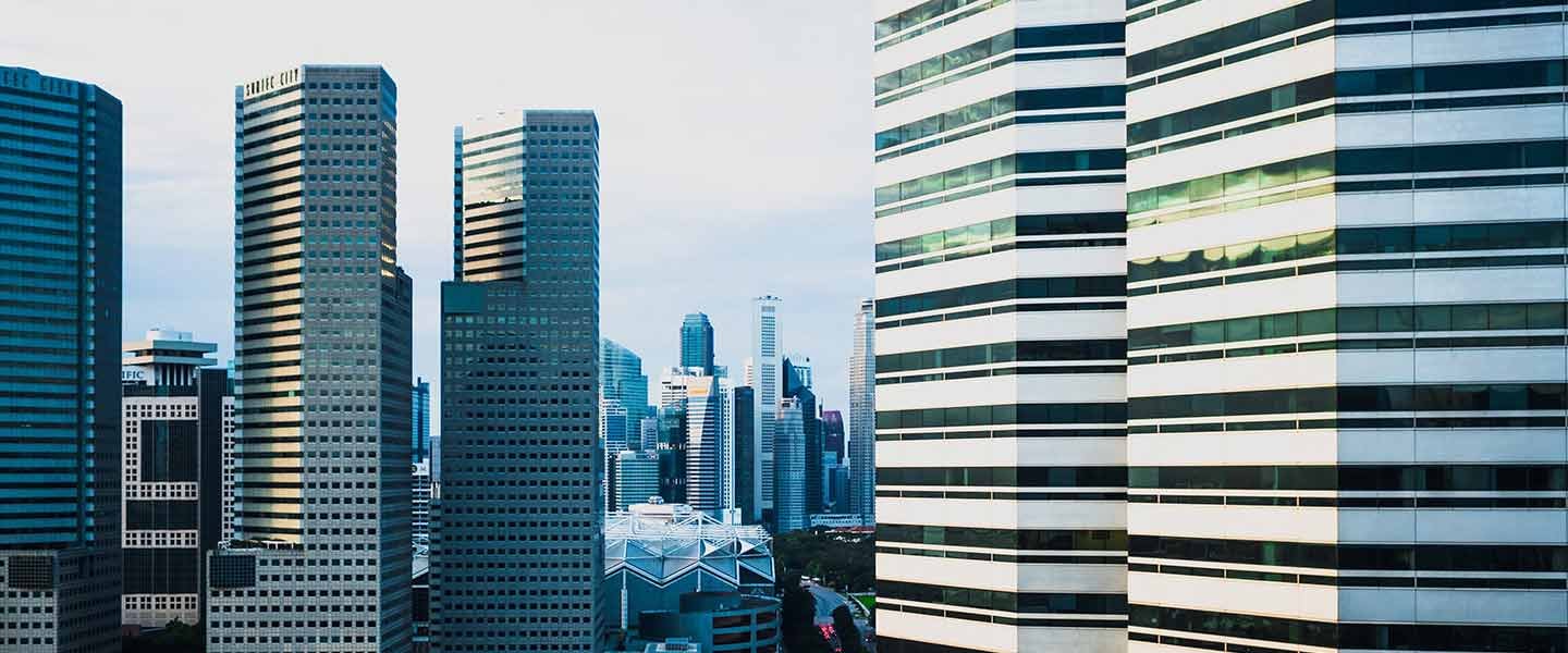 insight featured image