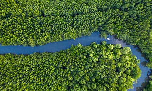 Scaling sustainability: Why Singapore’s SMEs hold the key to national climate success