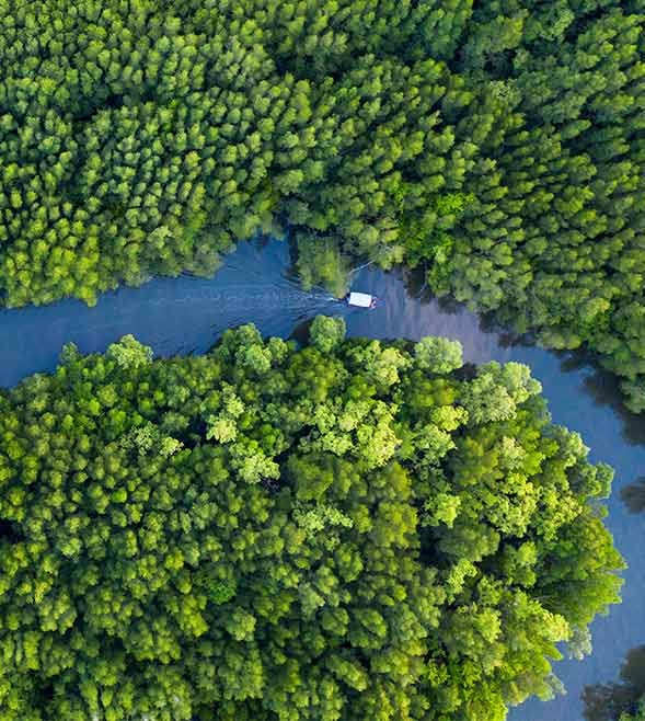 Scaling sustainability: Why Singapore’s SMEs hold the key to national climate success